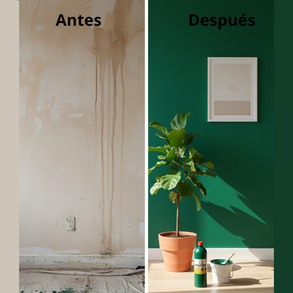 NUEVO PINTONMAX® RESTAURADOR