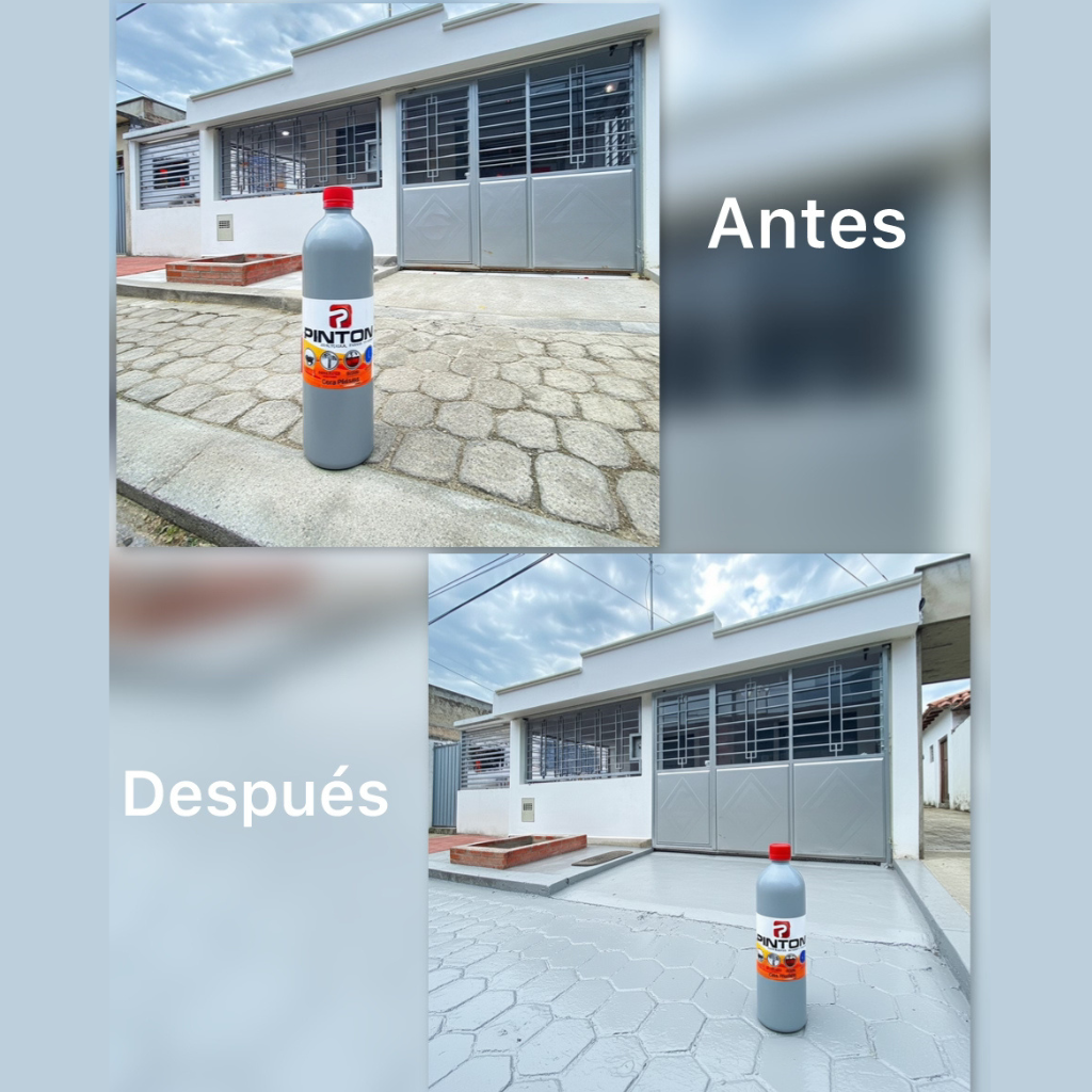 NUEVO PINTONMAX® RESTAURADOR