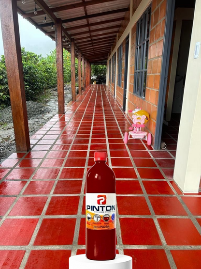 NUEVO PINTONMAX® RESTAURADOR