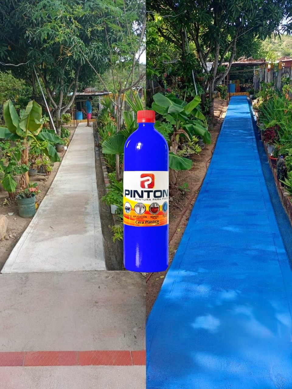 NUEVO PINTONMAX® RESTAURADOR